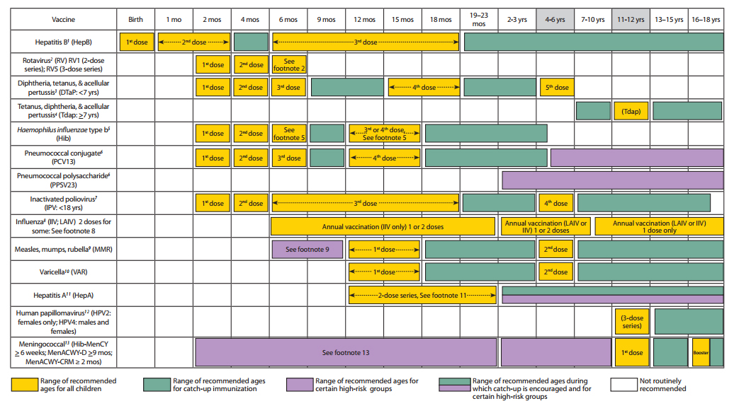 Immunization schedule chart